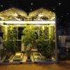 NatureFresh greenhouse