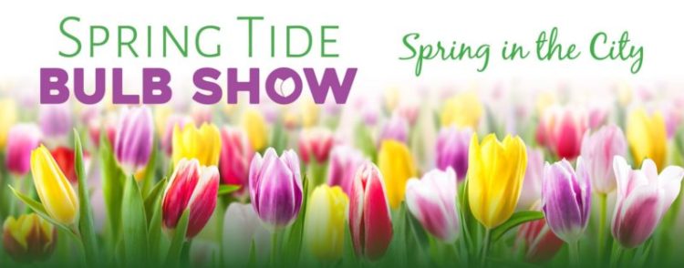 spring tide bulb sale