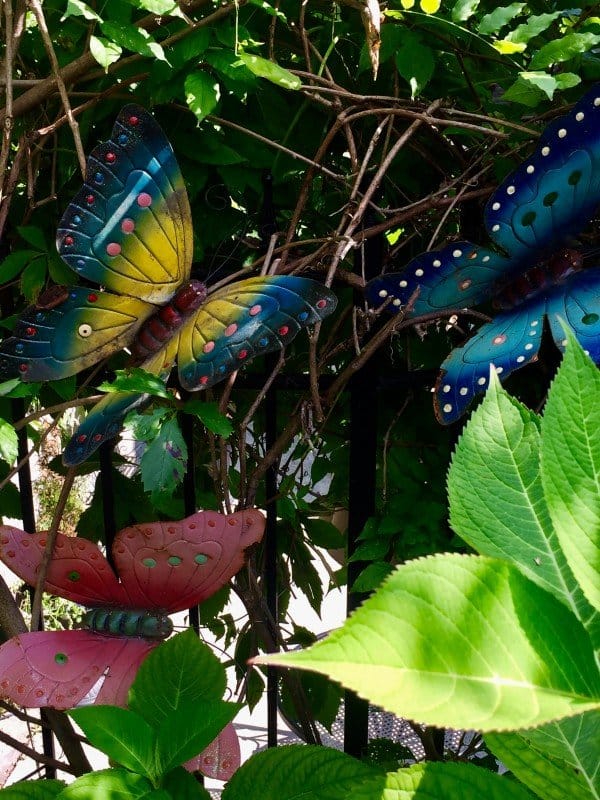 Where: Toronto, ON | When: August 2017 | What: Decor in the garden. | Photo: Dolores G.