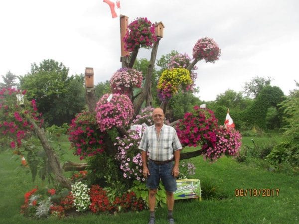 Where: Alexandria, ON | When: August 2017 | What: Canada 150th tree. | Photo: Rene J.