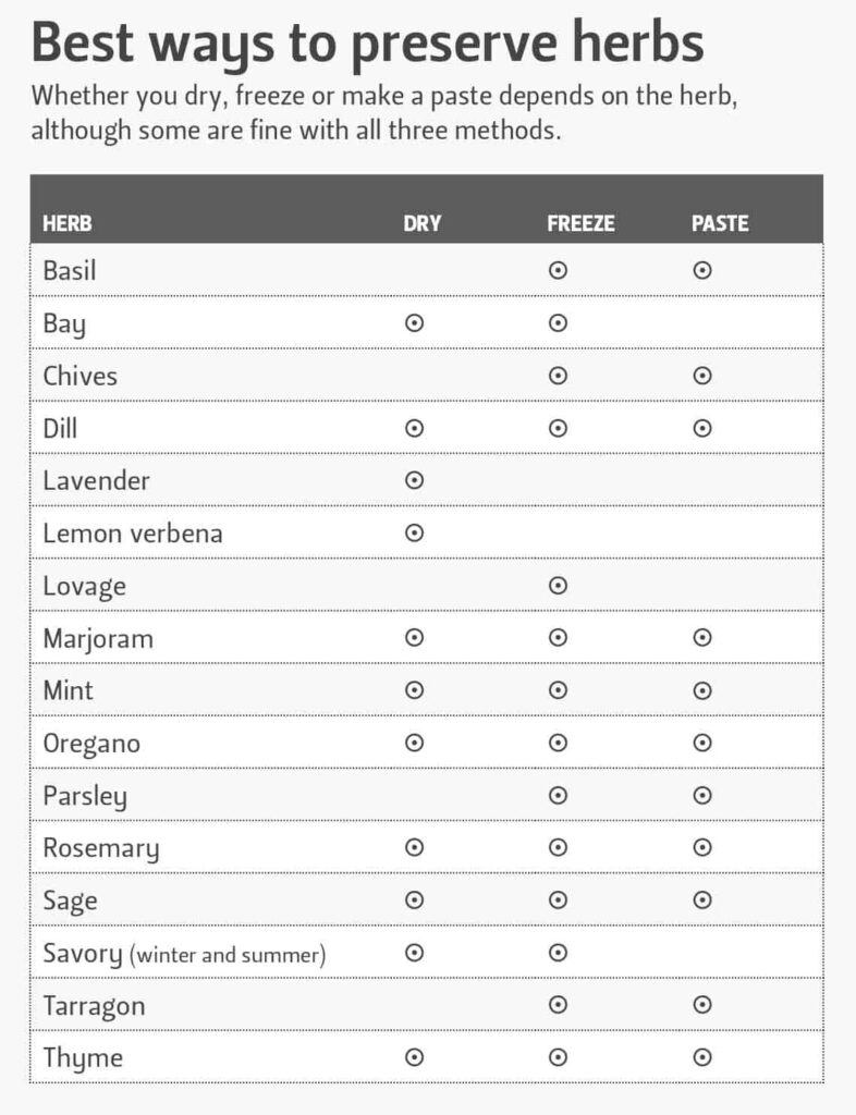best ways to preserve herbs