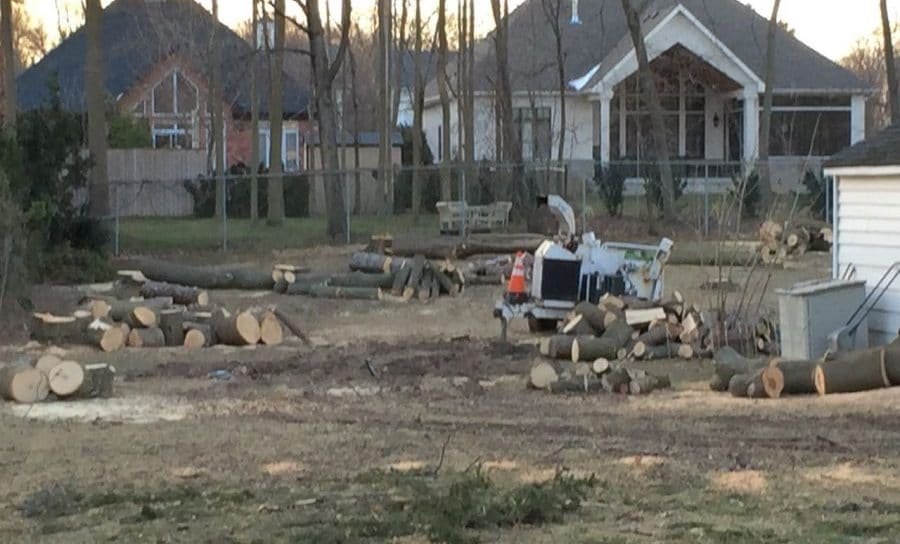 Trees cut down private property Garden Making photo