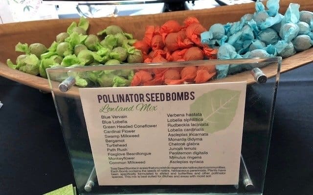 Pollinator "seed bombs" at native plants forum.