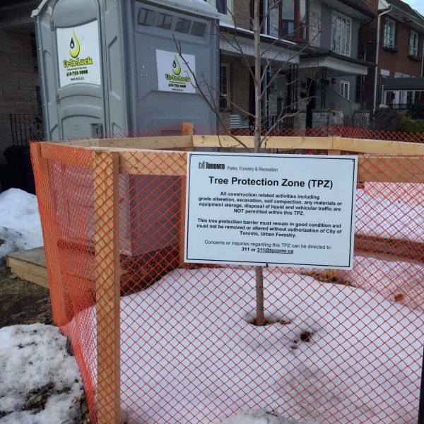 Tree protection zone in front yard of a residence in Toronto.