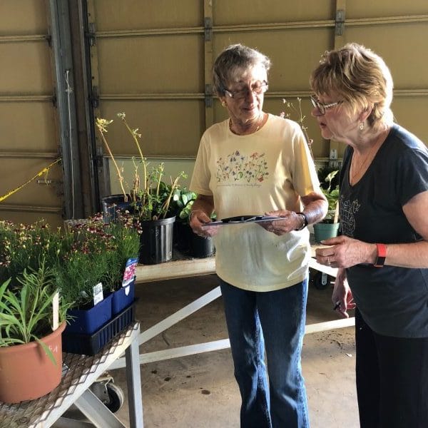 Preparing for the fall plant sale by Niagara Master Gardeners.