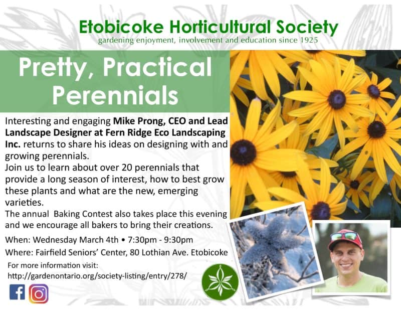 Practical Perennials
