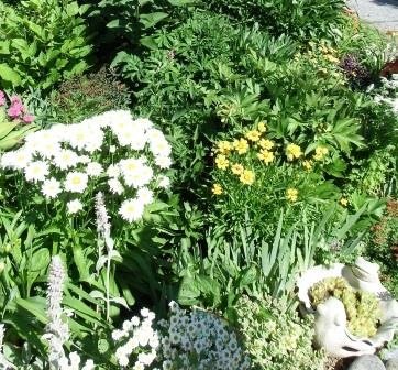 Gananoque Plant Sale