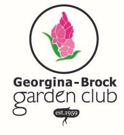 Seed Starting for Beginners to Experts