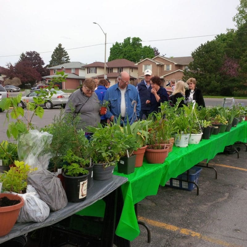Annual Plant Sale