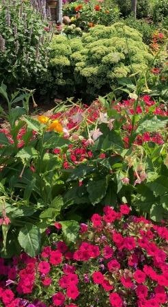 Free speaker about Carveth Gardens