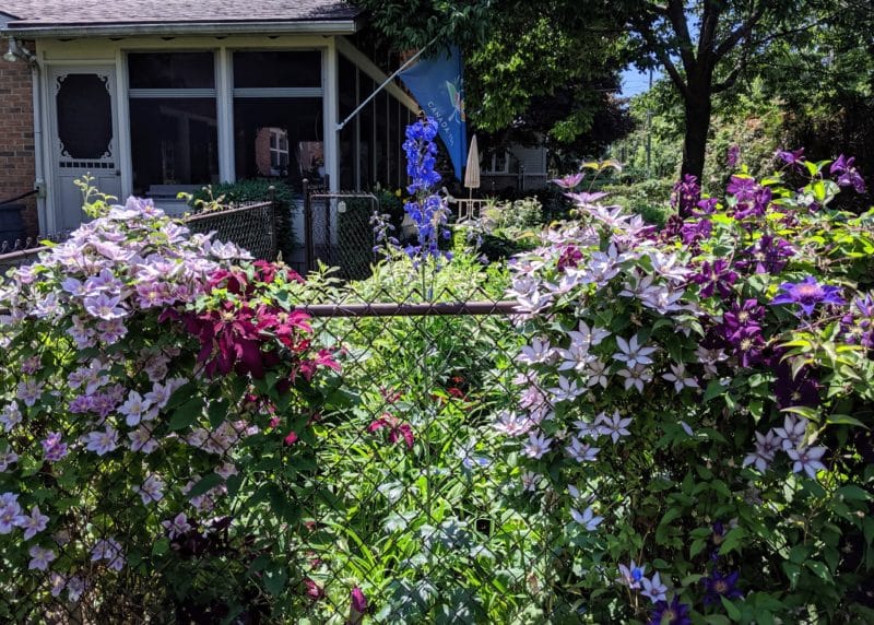 100th Anniversary Garden Tour