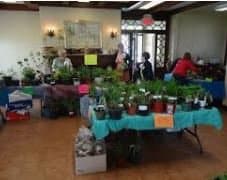 Annual Plant Sale in Beaconsfield