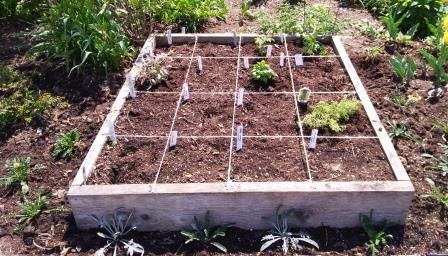 Save Our Soil – free speaker