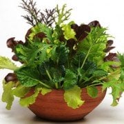 Simply Salad Global Gourmet Mix Simply Salad Global Gourmet Mix