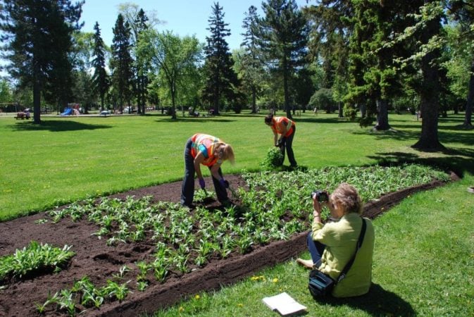 Wanda and Pam plant the beds at Vickers Park. Photo: Kathy Walkinshaw