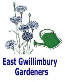 Highlights of the 2019 Buffalo Garden Walk